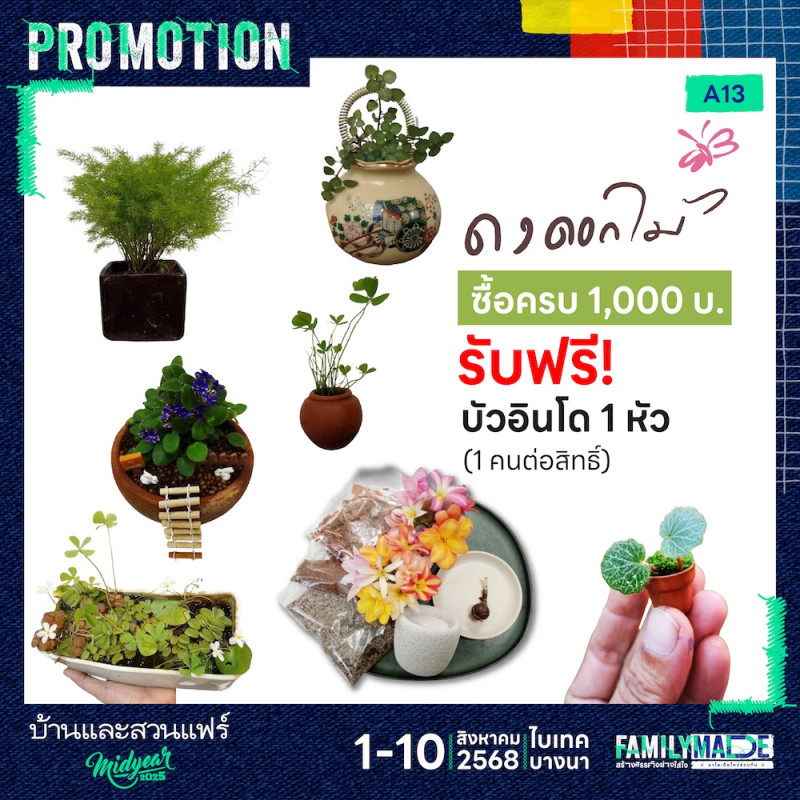 ซื้อครบ 1,000 บาท รับฟรี บัวอินโด 1 หัว