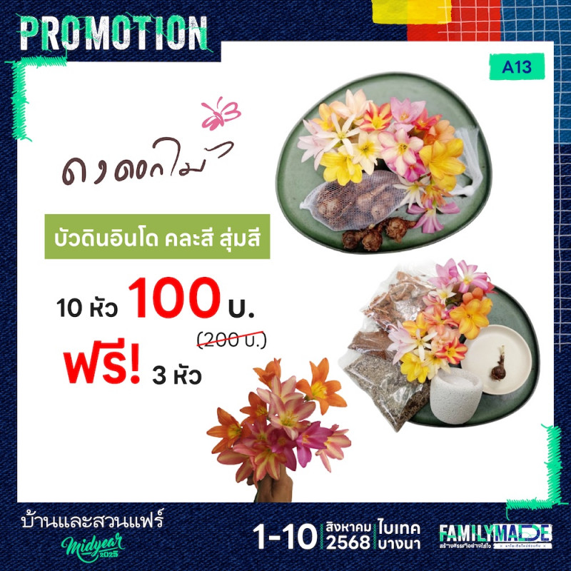 บัวอินโด 10 หัวราคาพิเศษ