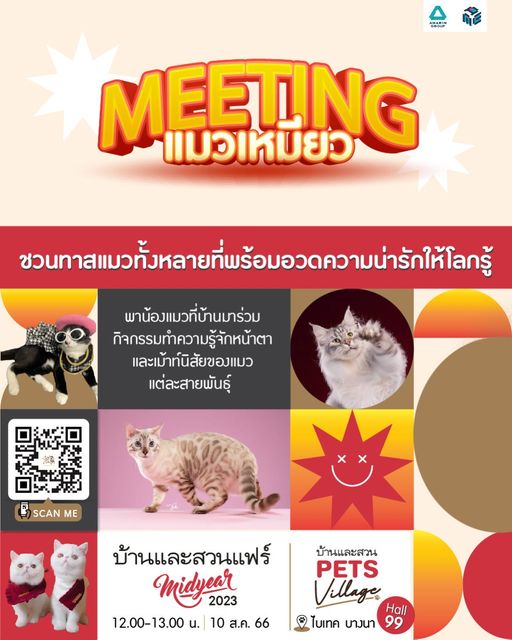 MEETINGแมวเหมียว