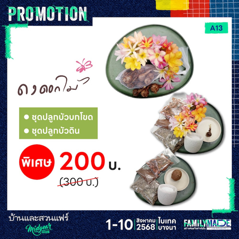ชุดปลูกบัวราคาพิเศษ