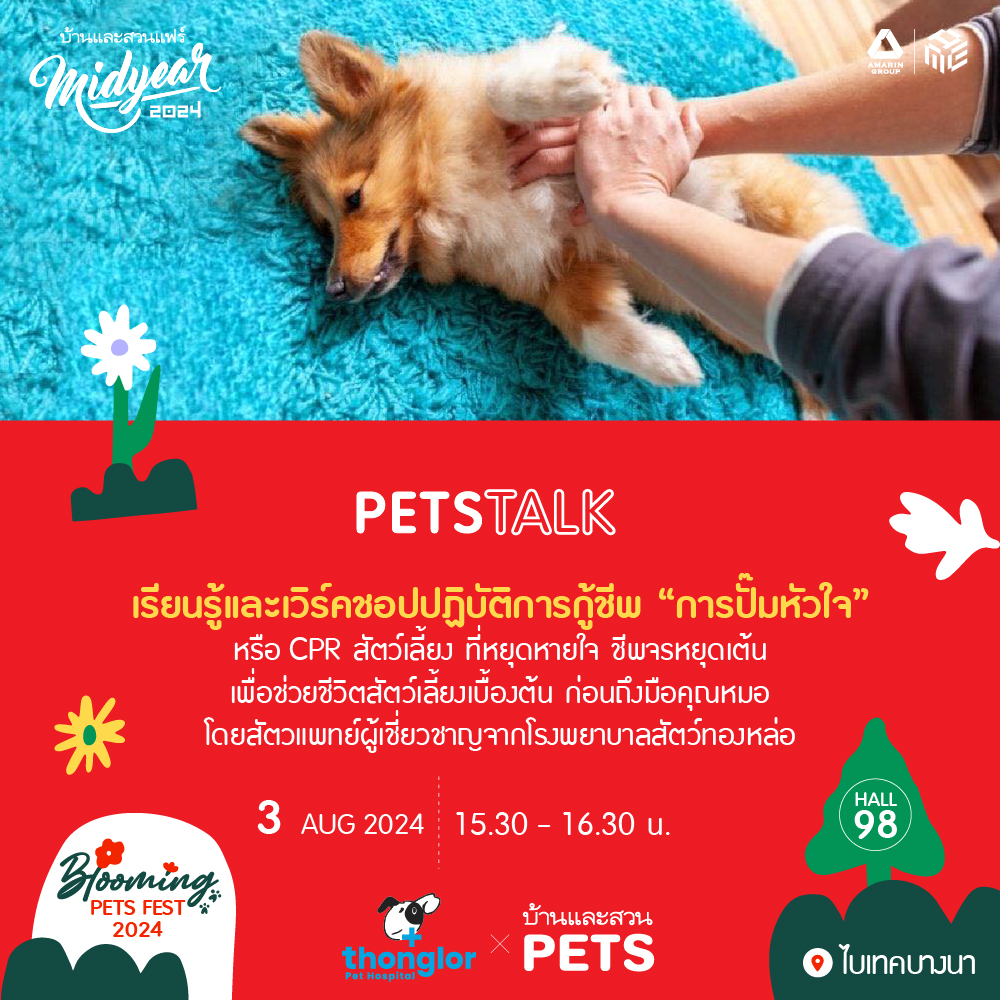 Pet Talk