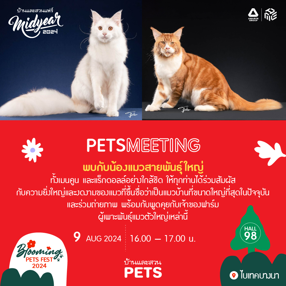 Pets Meeting