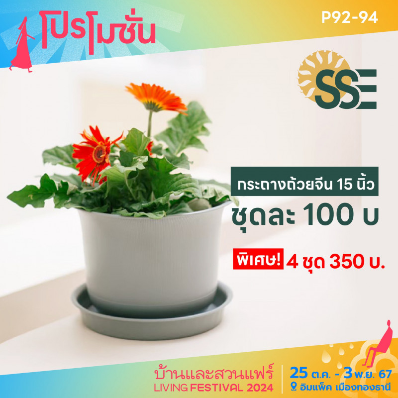 กระถางถ้วยจีน ชุดละ 100 บาท พิเศษ! 4 ชุด 350 บาท