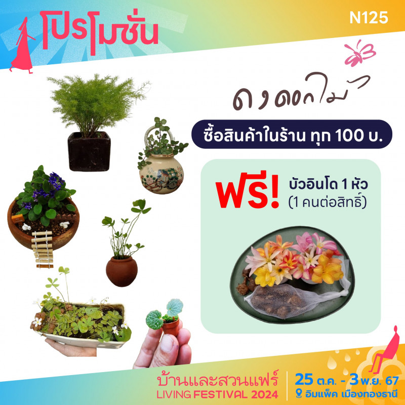 ซื้อสินค้าในร้าน ทุก 100 บาท ฟรี! บัวอินโด 1 หัว