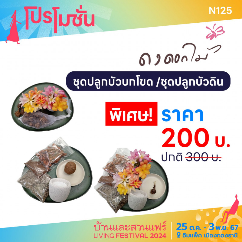 ชุดปลูกบัว พิเศษ! ราคา 200 บาท ปกติ 300 บาท