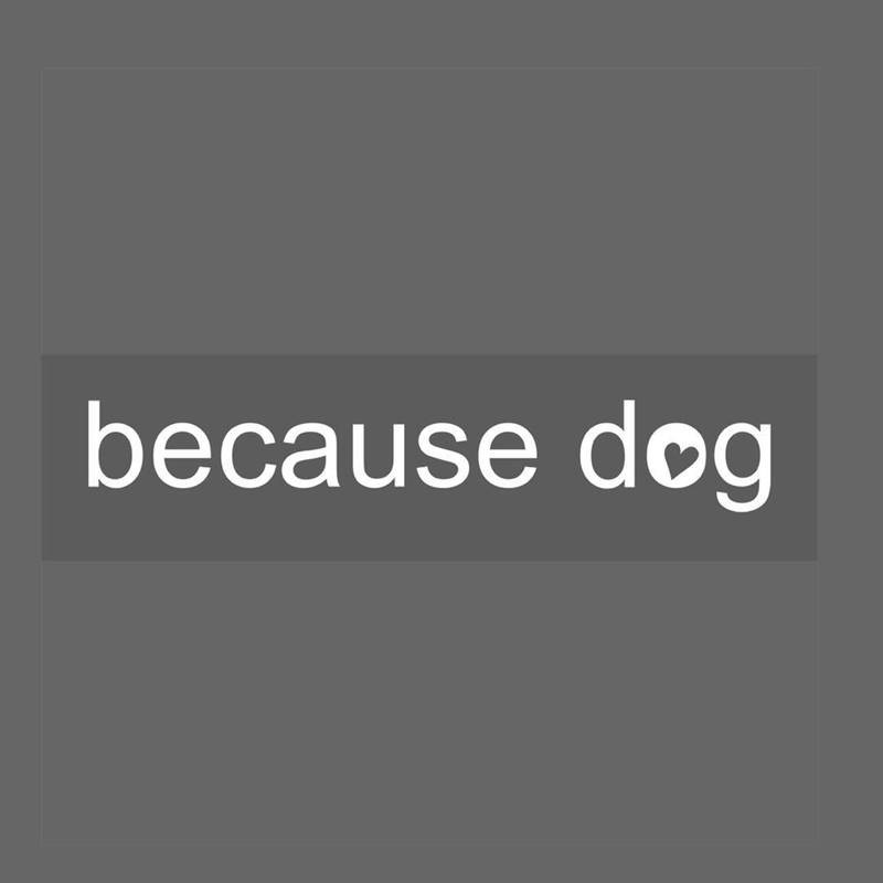 BECAUSE DOG