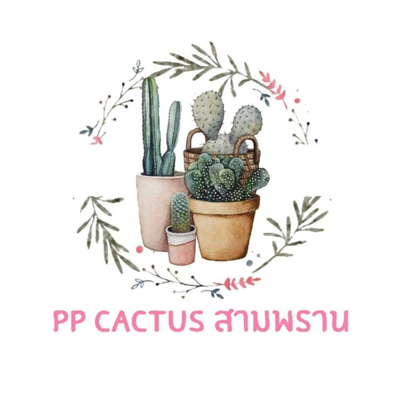 PP cactus