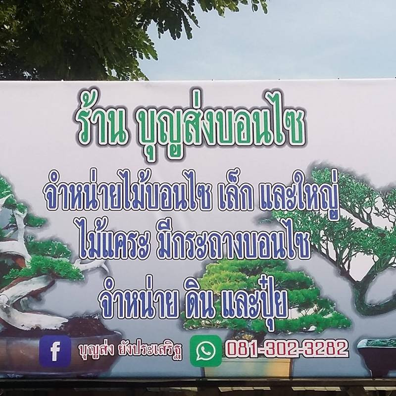 บุญส่งบอนไซ