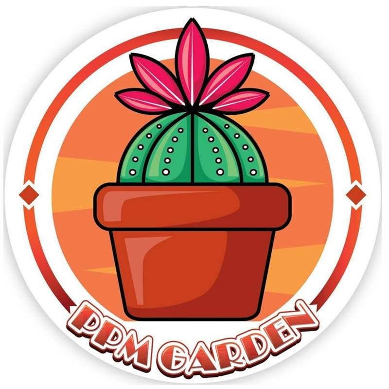 PMM CACTUS