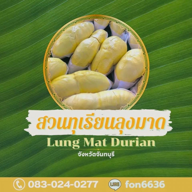สวนทุเรียนลุงมาด