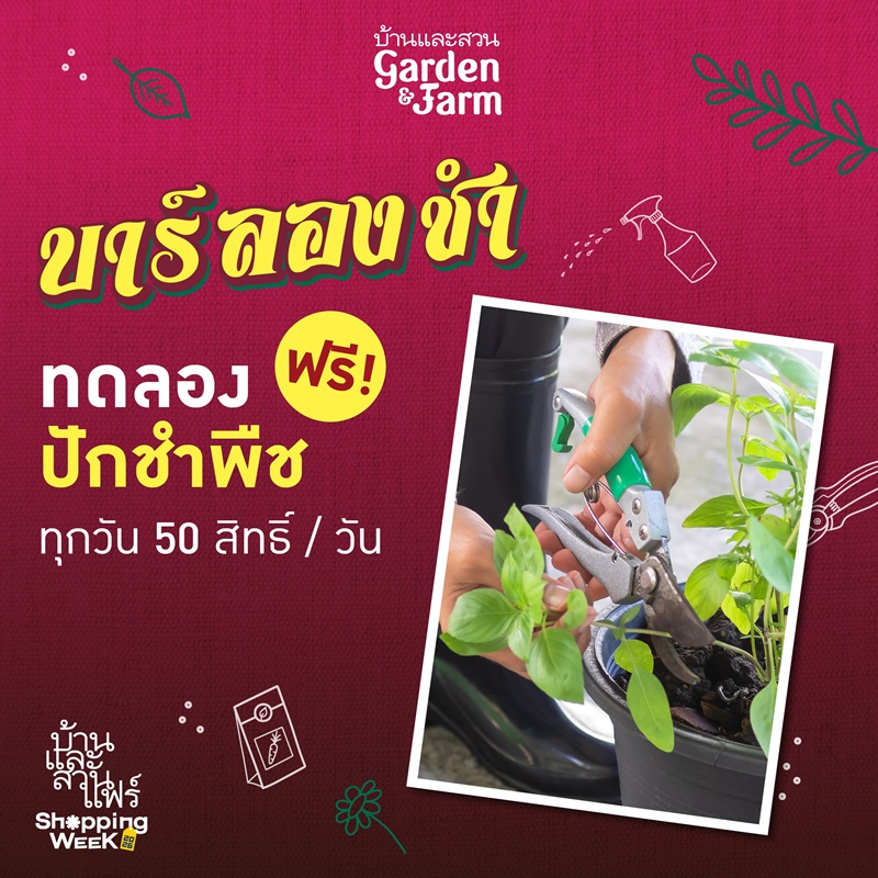 ทดลองปักชำพืช ฟรี ! ทุกวัน 50 สิทธิ์ / วัน