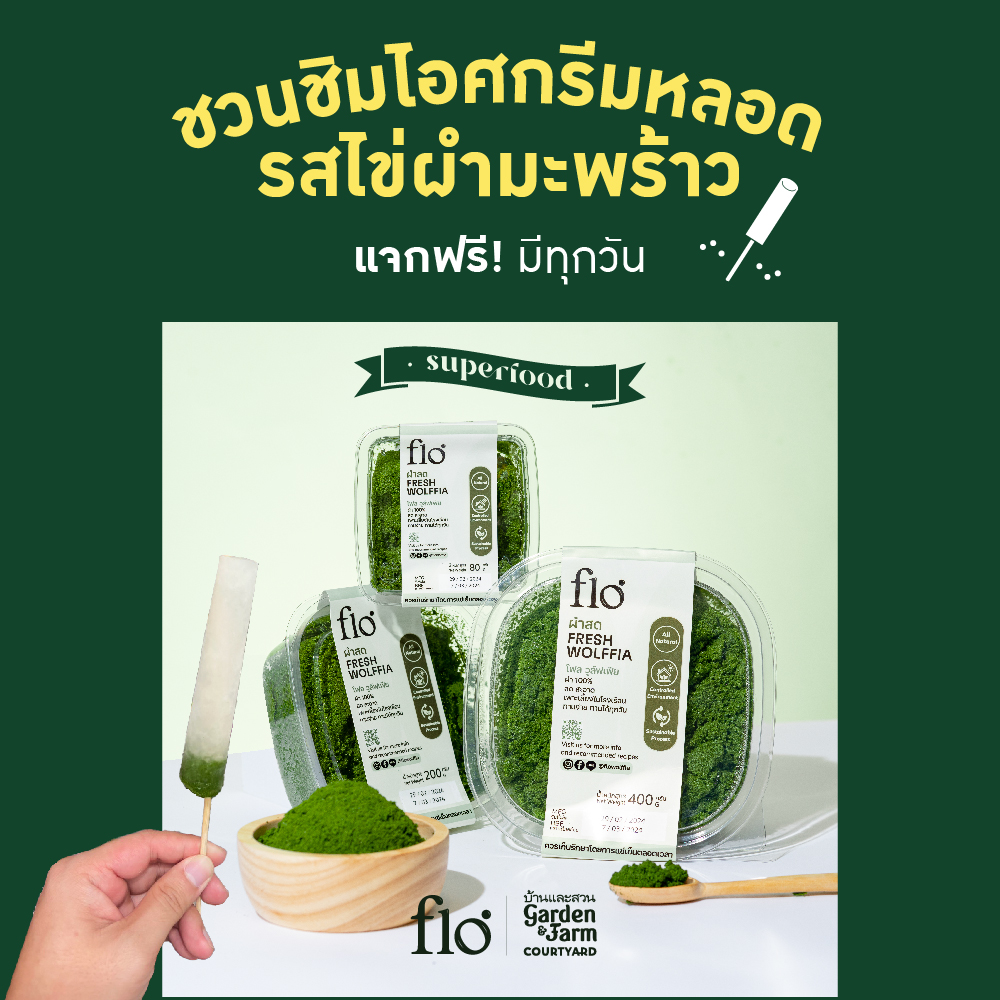 รับไอศกรีมหลอด Superfood รสไข่ผำมะพร้าว