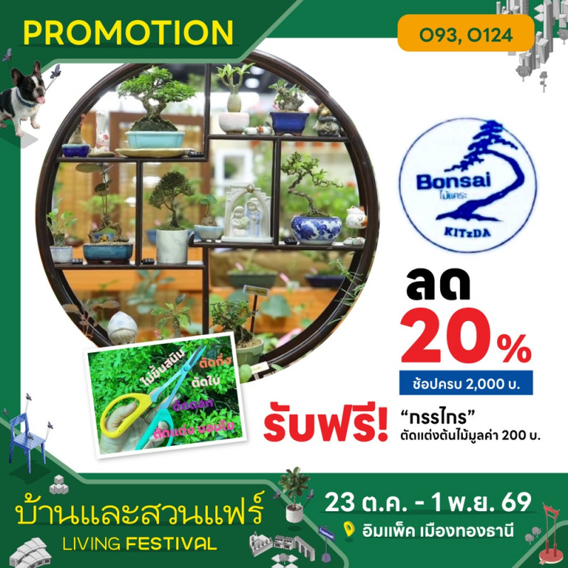 bonsai__1.jpg