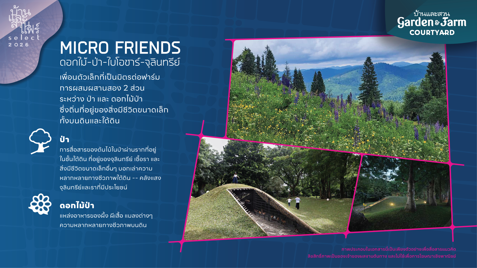 GARDEN & FARM COURTYARD