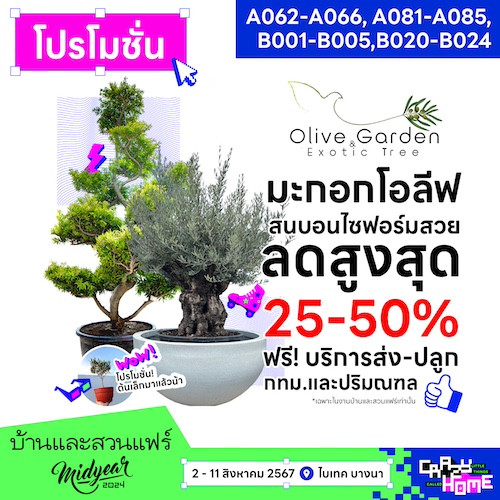 ok-a062-olive_garden_pro_midyear.jpg