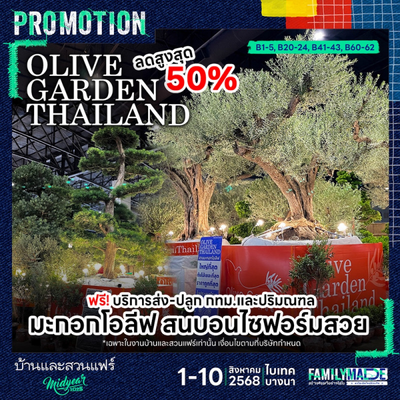 ต้น Olive ลดสูงสุด 50% ส่งฟรี