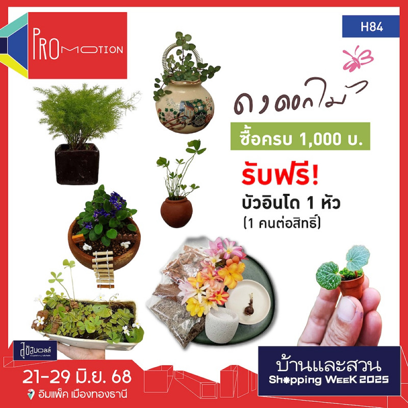 s__19210252.jpg