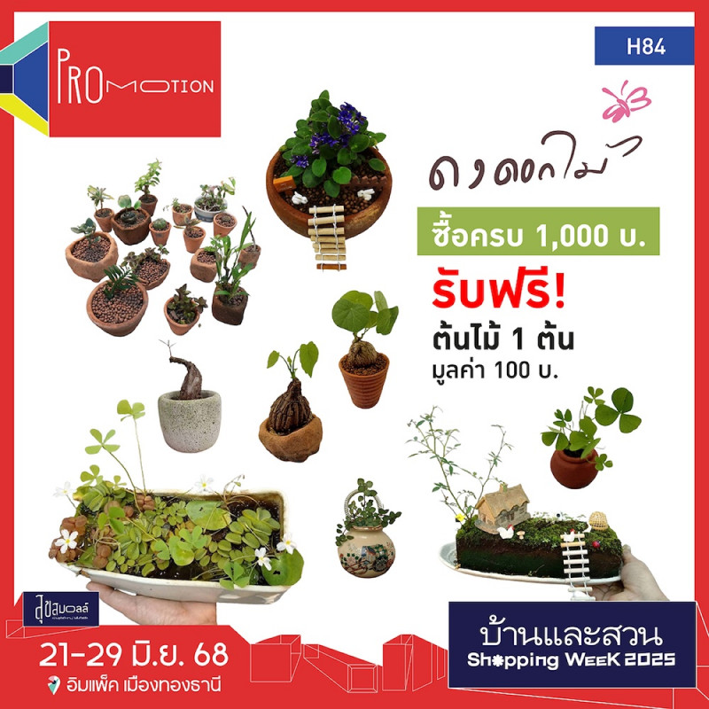 s__19210253_0.jpg