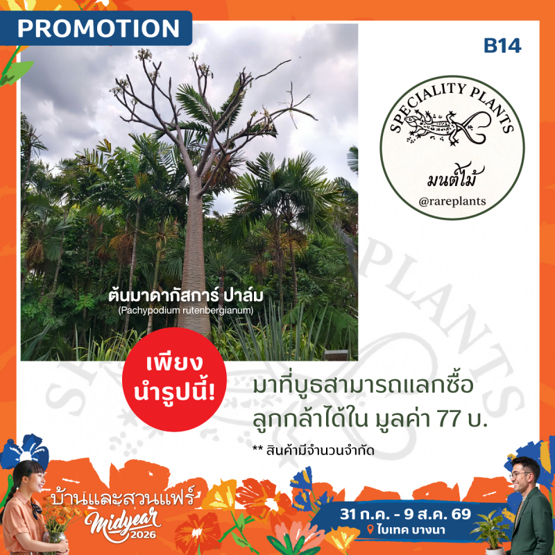 มนต์ไม้